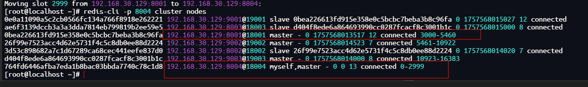 image-20250912155543246